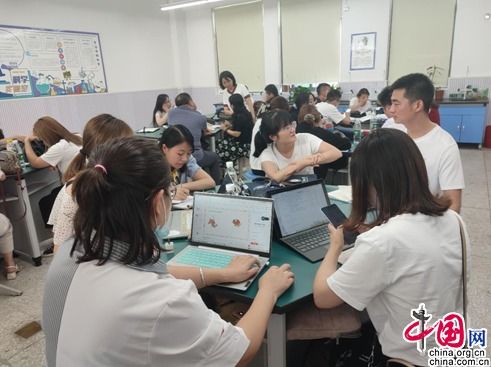 成都武侯區全面啟動教師信息技術應用能力提升工程，賦能教育現代化與區域人才發展